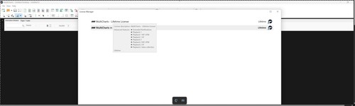 Multicharts lifetime doppia - lifetime,